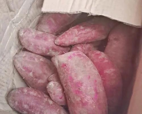 狗缺白蛋白的症状及预防措施（了解狗缺白蛋白症状的重要性，以及如何预防）(图2)