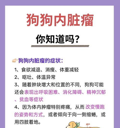 狗子宫癌症状大揭秘（了解狗子宫癌的症状及早发现关键）(图2)