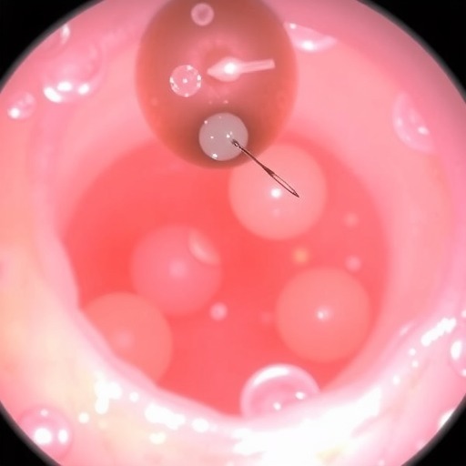 12月30日19:00 |《CAUVTH 2025临床能力提升系列》线上公益课程：如何找到脓包里“飞来”的异物(图1)