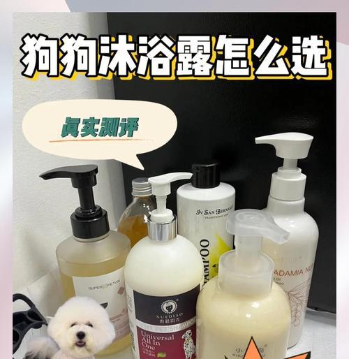 比熊三个月后可以洗澡吗？（探讨比熊宝宝洗澡的最佳时机和注意事项）(图3)