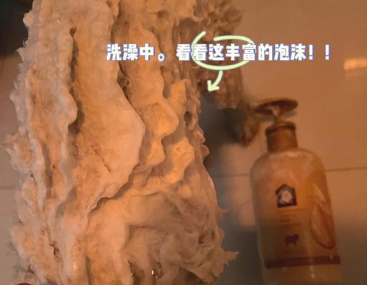 比熊三个月后可以洗澡吗？（探讨比熊宝宝洗澡的最佳时机和注意事项）(图1)