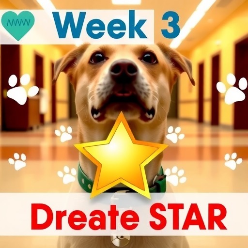 瑞辰宠物医院集团 | 第3周“每周之星”光荣榜(图3)