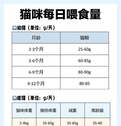 猫咪多久可以吃一次肉？（了解猫咪肉食频率的关键因素及注意事项）(图1)