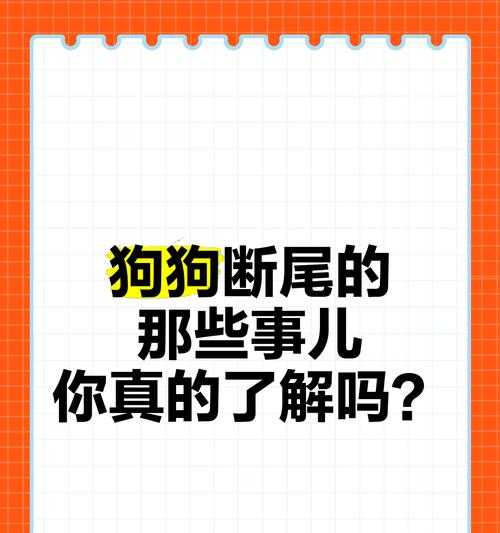 小狗断尾（探讨小狗断尾后的康复时间和注意事项）(图3)