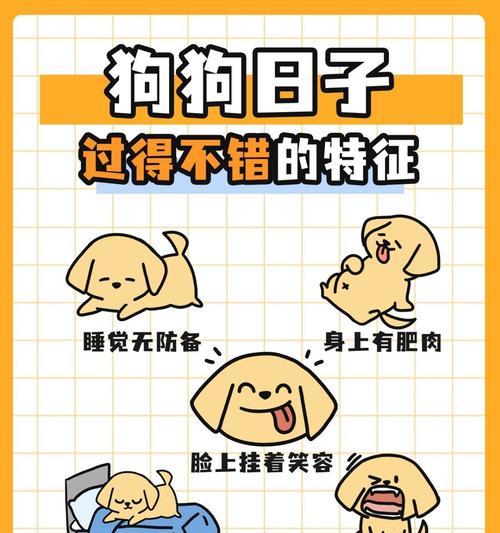 狗狗的睡眠习惯与周期（探寻狗狗睡眠的奥秘）(图1)