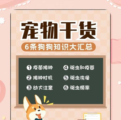 小狗到家后多久能进行驱虫？（小狗驱虫的最佳时间及注意事项）(图2)