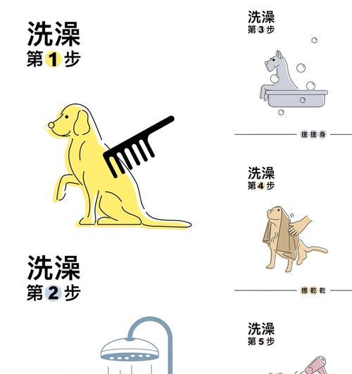 如何辨别新生小狗的性别（简单技巧帮你分辨母狗和公狗）(图1)