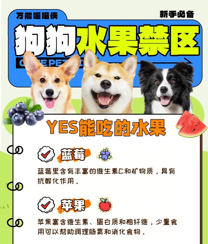 阿比西尼亚猫能吃哪些水果？（了解阿比西尼亚猫饮食偏好，为它们提供合适的水果。）(图1)