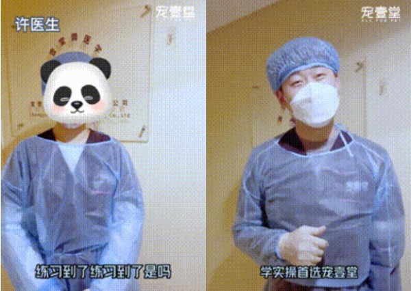 1月26日【重庆】(第125期)丨犬猫外科(高阶)班！含SUB(人人可实操)、乳糜胸等技术！(图1)