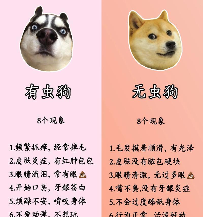 四个月大的狗狗需要多久驱虫一次？（关于狗狗驱虫频率的重要指南）(图1)