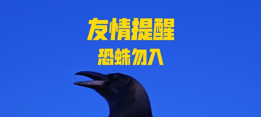 捕鸟蛛饲养超级指南（解答新手常见问题，助你成功养护捕鸟蛛）(图2)