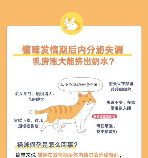 猫咪的繁殖周期与再怀孕时间（探究猫咪再次怀孕的间隔期和生育能力）(图1)