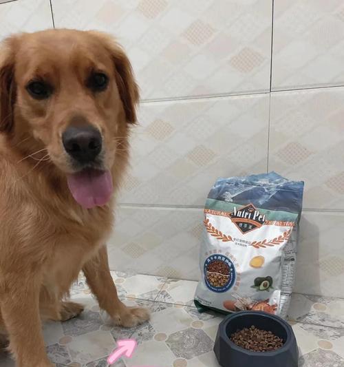 狗粮没开封能放多久？（了解狗粮保质期的重要性）(图1)