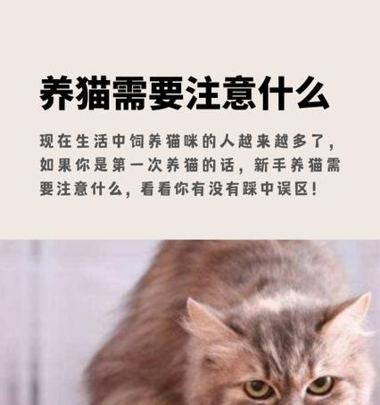 养猫须知（了解猫咪健康知识，给它们更好的生活）(图2)