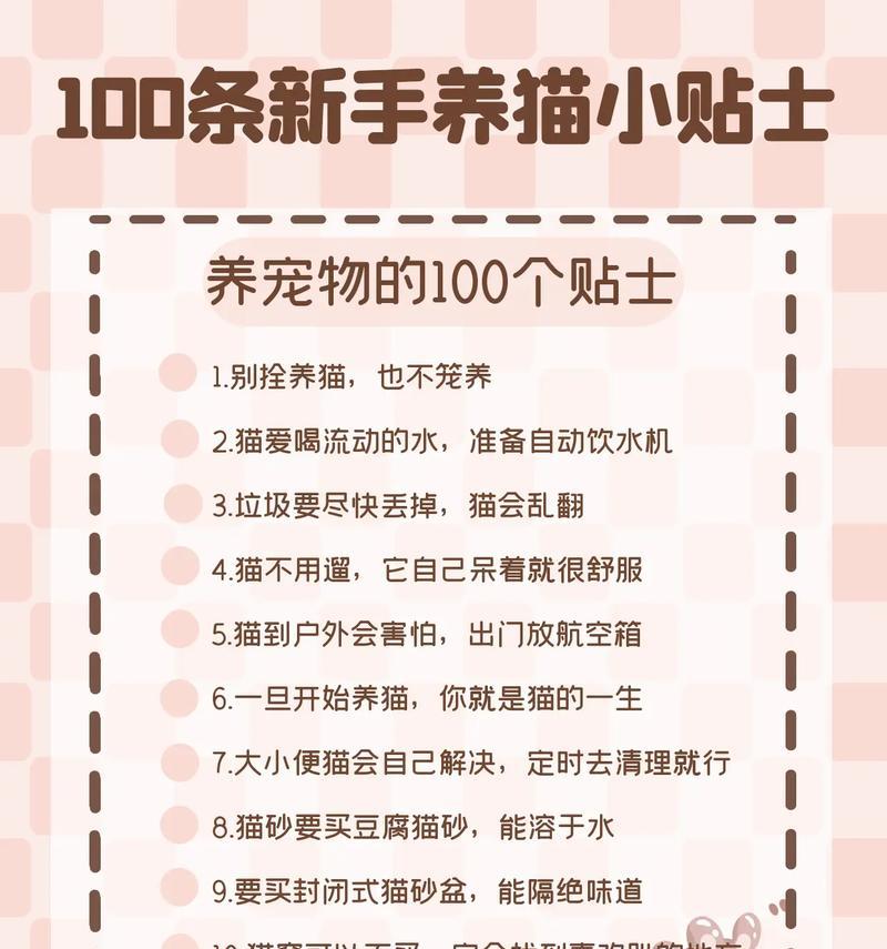 养猫须知（了解猫咪健康知识，给它们更好的生活）(图3)