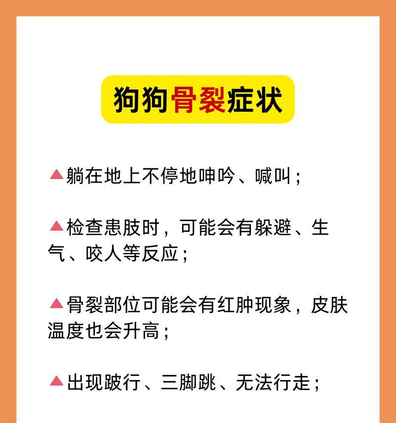 成年狗后腿骨裂恢复期（解析成年狗后腿骨裂的康复时间和注意事项）(图3)