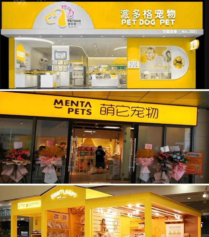 宠物店员工培训的重要性（如何提高宠物店员工的专业能力）(图3)