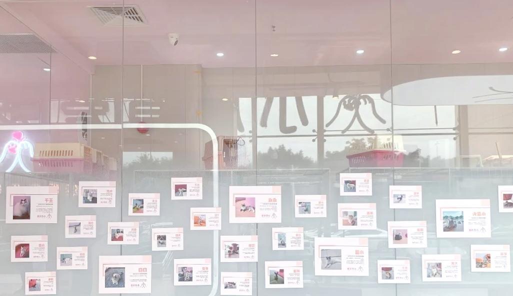 宠物店员工培训的重要性（如何提高宠物店员工的专业能力）(图1)