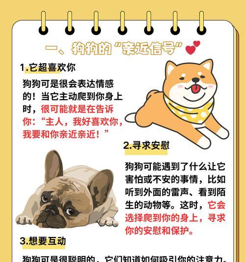 狗熟悉主人需要多长时间？（揭开狗熟悉主人的神秘面纱）(图1)