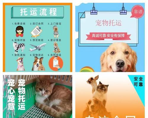 猫咪托运的费用和交通工具选择（了解猫咪托运的费用和可选交通工具，为宠物旅行提供便利）(图1)