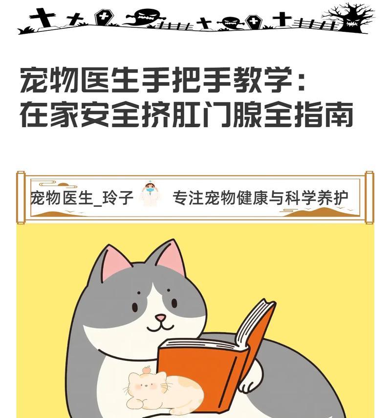 狗的腺肛门清理（探讨狗狗腺肛门清理的频率及注意事项）(图2)