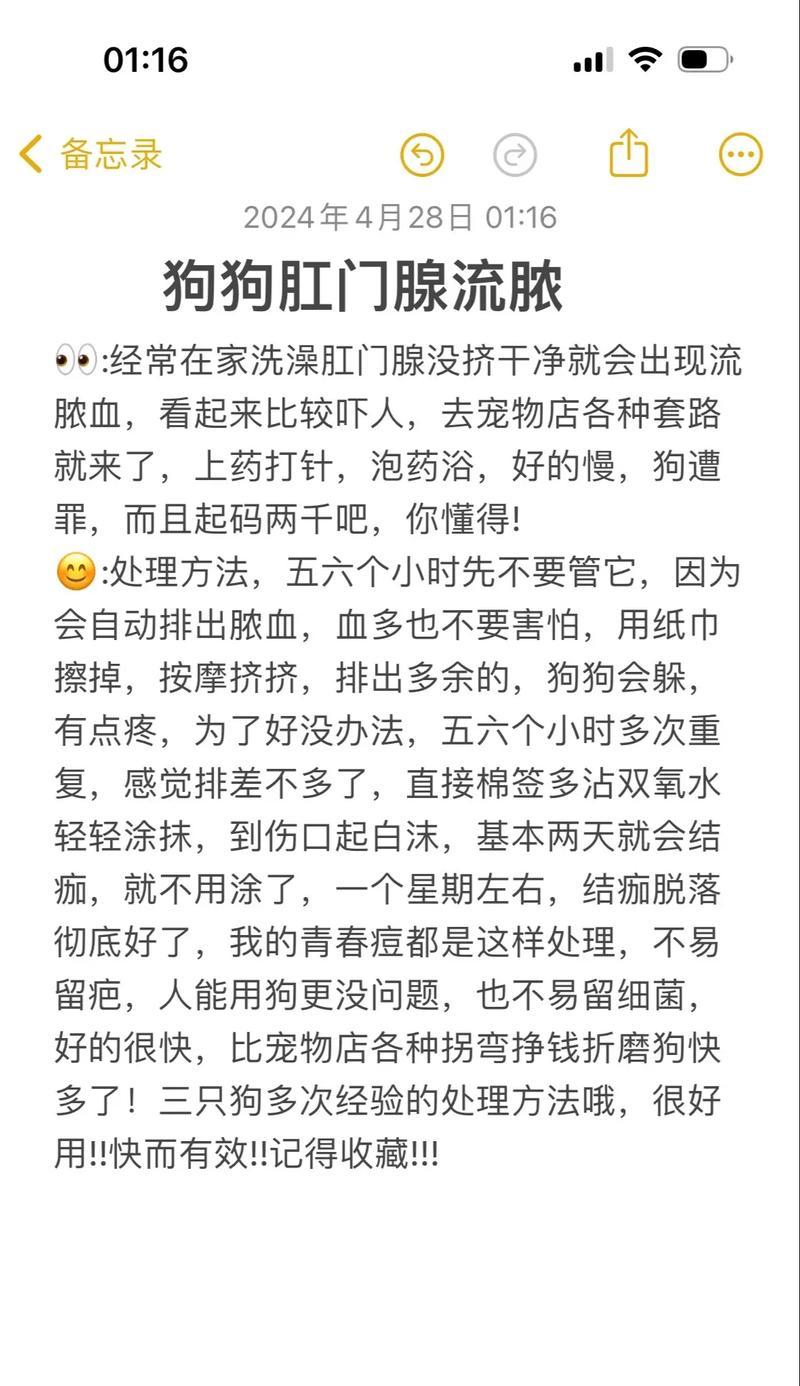 狗的腺肛门清理（探讨狗狗腺肛门清理的频率及注意事项）(图3)