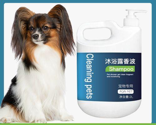 如何科学合理地给蝴蝶犬洗澡？（蝴蝶犬洗澡的频率和注意事项）(图3)