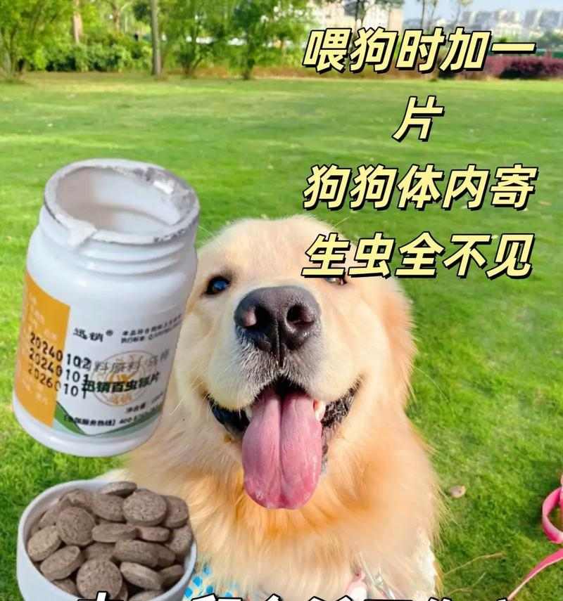 灭虫宁，宠物犬一次用药多久合适？（了解灭虫宁对狗狗的使用频率和间隔时间）(图3)