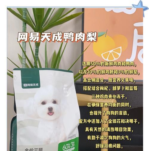 柯基犬市场价格调查（了解柯基的价格趋势和因素）(图1)