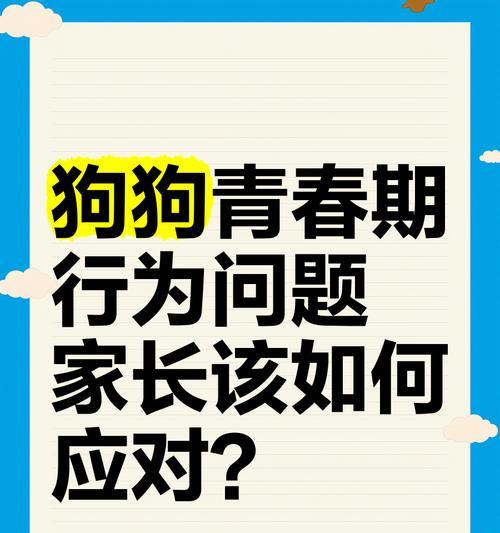 泰迪叛逆期的时长及结束方式（了解泰迪叛逆期，帮助宠物成长）(图3)