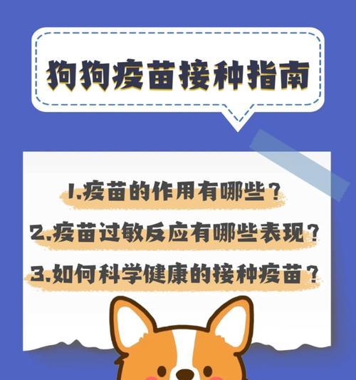 狗狗接种疫苗后的注意事项——宠物健康保障不可忽视（为了狗狗的健康，千万别让疫苗白打！）(图3)