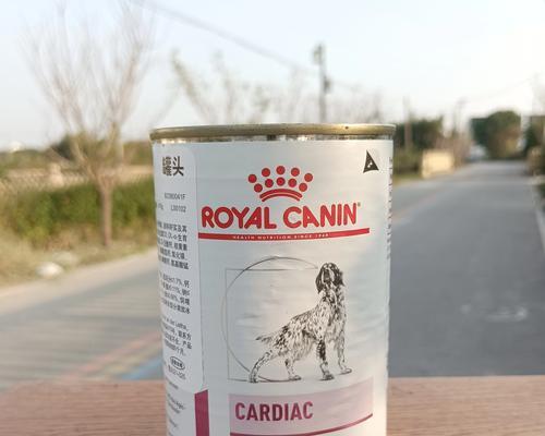 以泰迪处方粮能吃多久？（探究以泰迪处方粮的食用时长和效果如何）(图1)