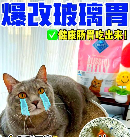 猫咪吐了没消化的猫粮，肠胃不好是原因吗？（探究猫咪吐出没消化的猫粮的原因和解决方法）(图3)
