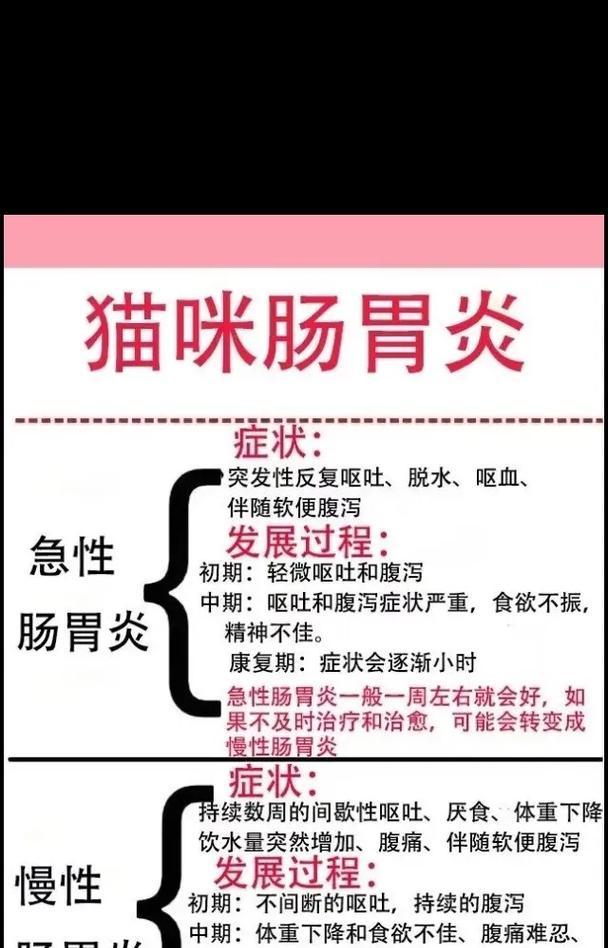 猫咪吐了没消化的猫粮，肠胃不好是原因吗？（探究猫咪吐出没消化的猫粮的原因和解决方法）(图2)