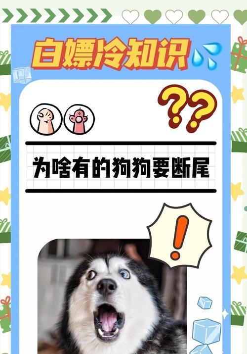 狗狗断尾的常用方法及优劣比较（选择适合狗狗的断尾方法，关爱它的健康成长）(图1)