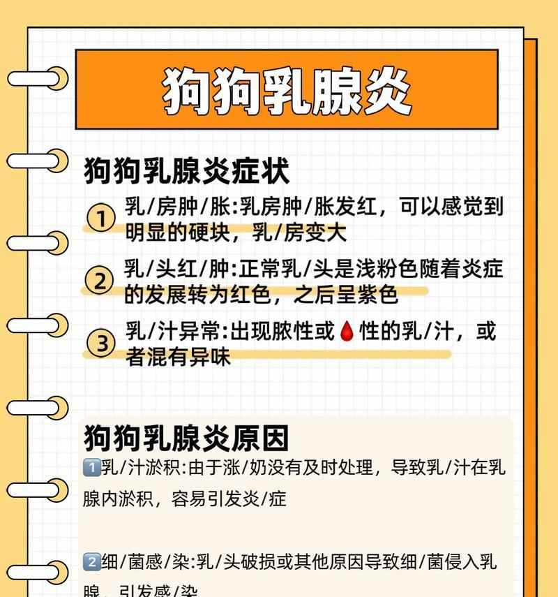 狗产后乳腺炎症状及处理方法｜母狗健康保护指南