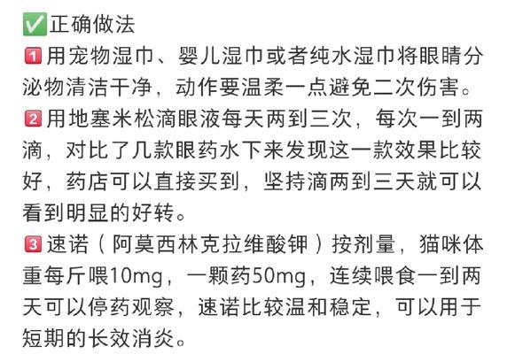 小猫眼睛发炎，需要多久才能好？（猫眼睛发炎的原因、症状和治疗方法及预防）(图1)