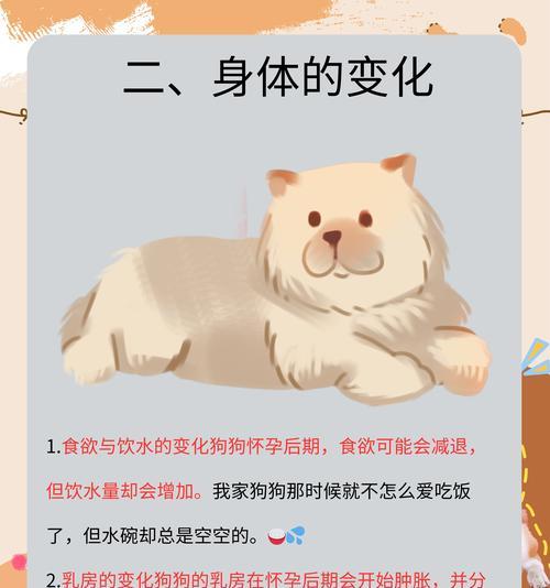 狗的第一胎隔多久生一次？（探寻狗生育周期的奥秘）(图2)