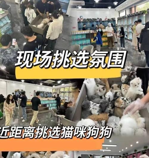 狗狗育苗后多久能洗澡？（了解适当的洗澡时间，让你的狗狗健康快乐）(图1)