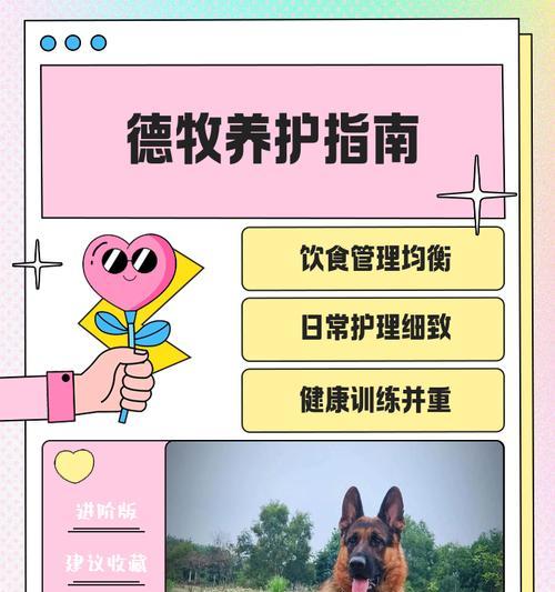 以德牧配完多久下奶（探究德牧配完后产奶时间及相关影响因素）(图3)
