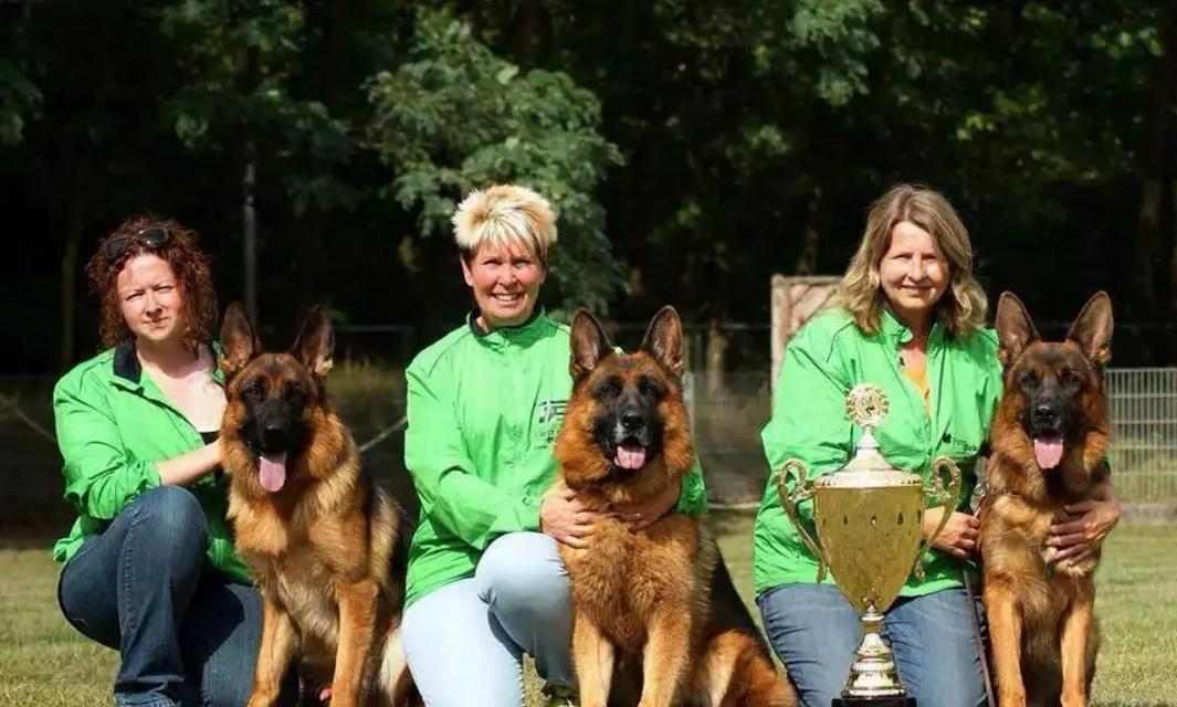 以德牧配完多久下奶（探究德牧配完后产奶时间及相关影响因素）(图2)