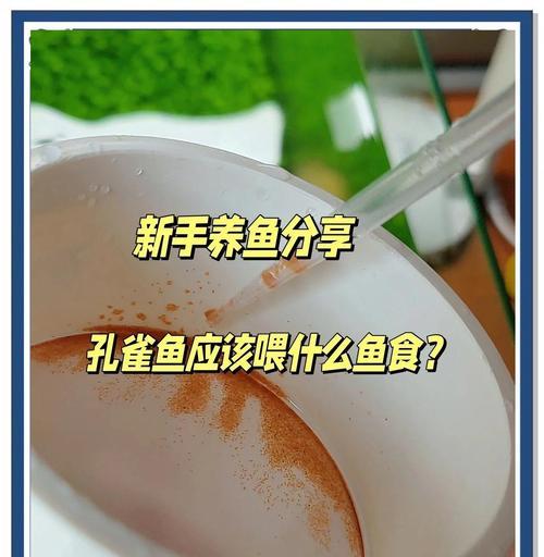 小凤尾鱼的饲养之道（喂食频率与时间间隔的重要性）(图1)