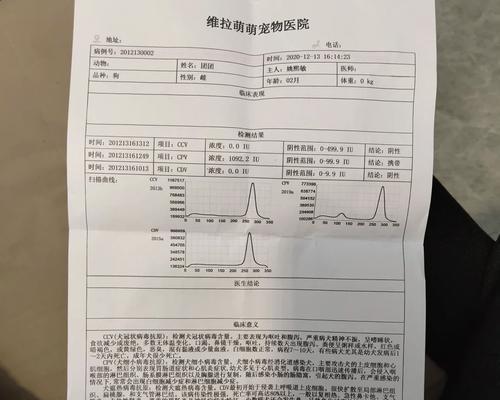 狗滴虫治疗时长究竟需要多久？（揭开治疗狗滴虫的时间之谜）(图1)