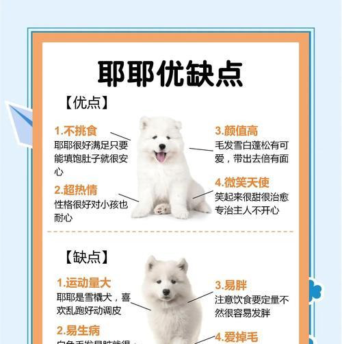 7个月萨摩多体外驱虫全攻略（为宠物的健康保驾护航！）(图2)