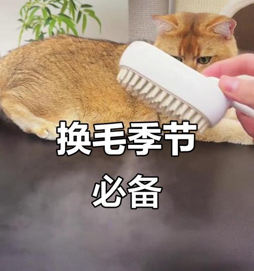 春季宠物换毛大作战（了解换毛的要注意事项，让宠物轻松度过春季）(图2)