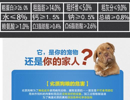 金毛犬的美毛食谱及喂养技巧（让你的金毛拥有健康亮丽的毛发，关键是科学合理的饮食）(图1)