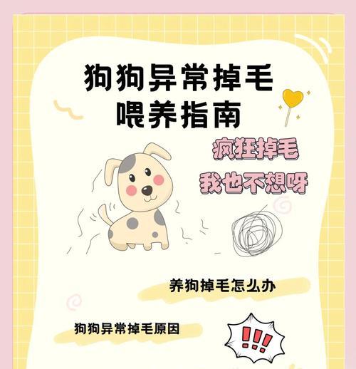 狗狗脱毛周期及常见处理方法（探究狗狗脱毛周期与脱毛处理的关键方法）(图2)