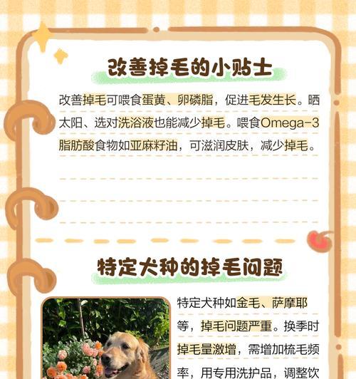 狗狗脱毛周期及常见处理方法（探究狗狗脱毛周期与脱毛处理的关键方法）(图1)