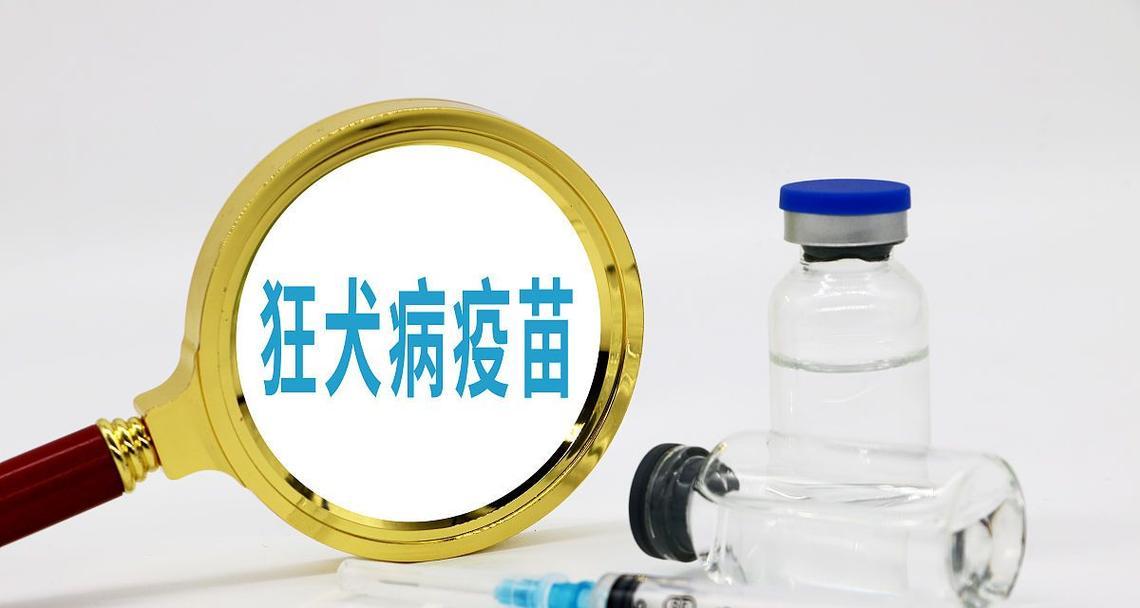 狗狗接种狂犬疫苗后多久起效？（揭秘狗狗接种狂犬疫苗的时间和效果）(图2)