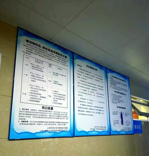 狗狗接种狂犬疫苗后多久起效？（揭秘狗狗接种狂犬疫苗的时间和效果）(图3)